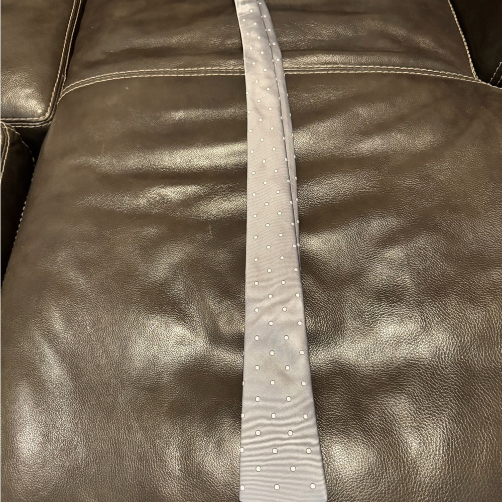 Banana Republic Gray Polka Dot Tie